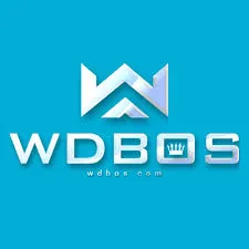 WDBOS - Game Sepak Bola Terbaik untuk Penggemar